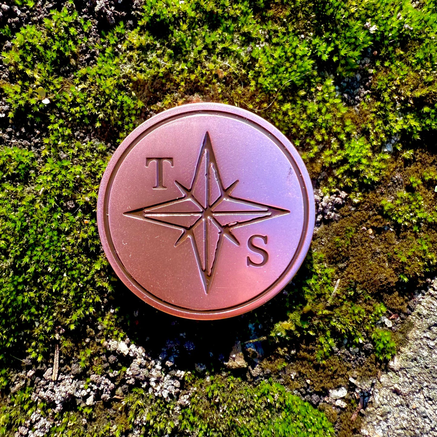 Close up of TS Travel Token